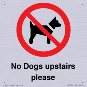 No Dogs upstairs please 